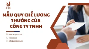 mau-quy-che-luong-thuong-cua-cong-ty-tnhh