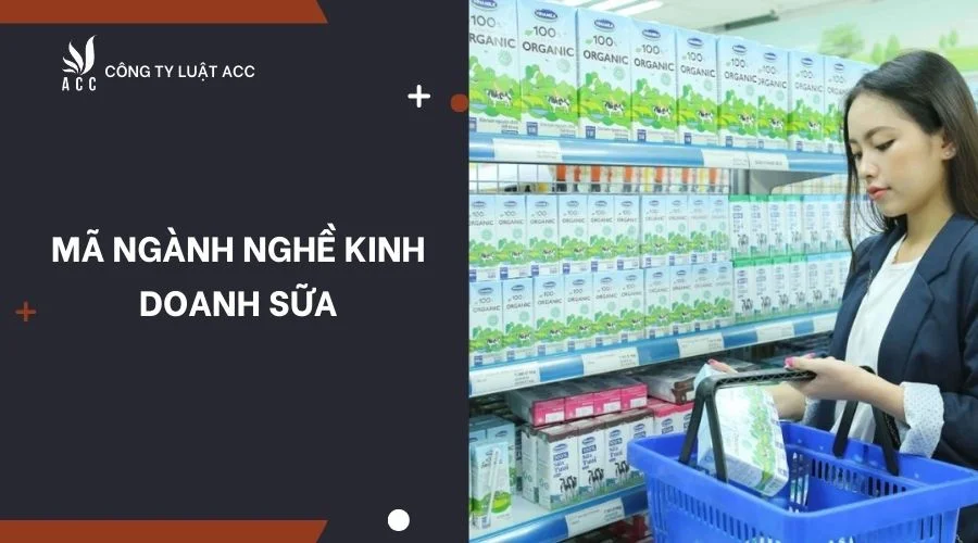 mau-quyet-dinh-bo-nhiem-giam-doc-cong-ty-tnhh-1-thanh-vien-1