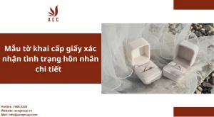 mau-to-khai-cap-giay-xac-nhan-tinh-trang-hon-nhan-chi-tiet