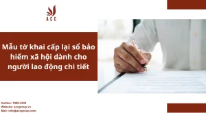 mau-to-khai-cap-lai-so-bao-hiem-xa-hoi-danh-cho-nguoi-lao-dong-chi-tiet