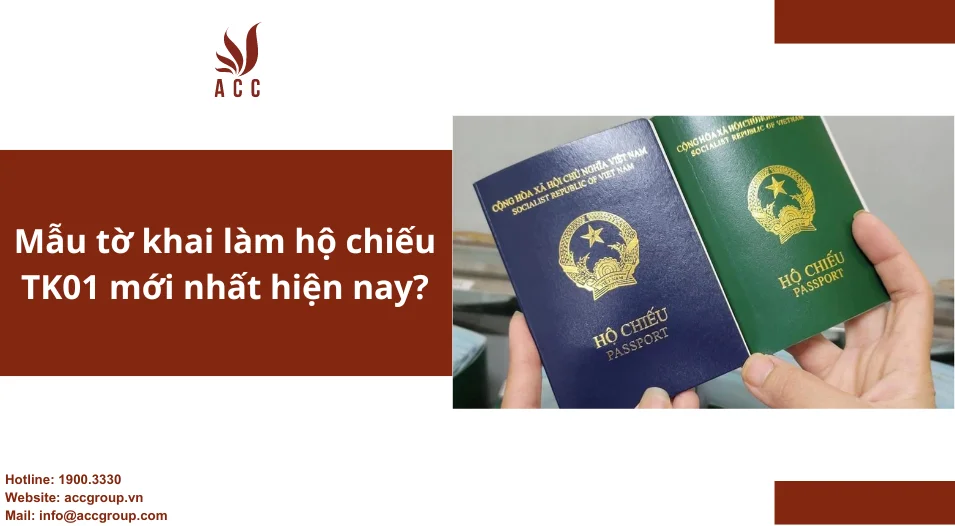 Mẫu tờ khai làm hộ chiếu TK01 mới nhất hiện nay?