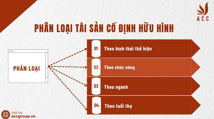  Phân loại tài sản cố định hữu hình