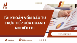 tai-khoan-von-dau-tu-truc-tiep-cua-doanh-nghiep-fdi