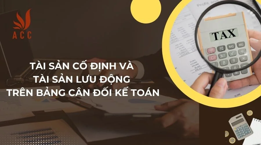  Tài sản cố định và tài sản lưu động trên bảng cân đối kế toán