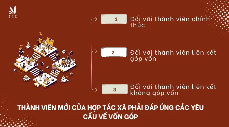 Thành viên mới phải đáp ứng những yêu cầu gì về vốn góp?