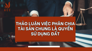 thao-luan-viec-phan-chia-tai-san-chung-la-quyen-su-dung-dat