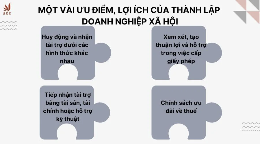 thmot-vai-uu-diem-loi-ich-cua-thanh-lap-doanh-nghiep-xa-hoianh-lap-doanh-nghiep