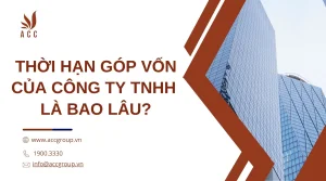 thoi-han-gop-von-cua-cong-ty-tnhh-la-bao-lau