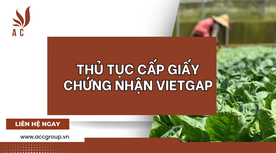 Thủ tục cấp giấy chứng nhận VietGAP.