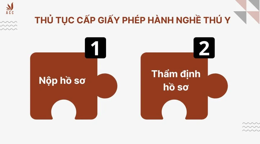 thu-tuc-cap-giay-phep-hanh-nghe-thu-y