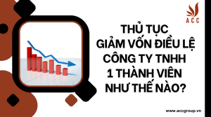 thu-tuc-giam-von-dieu-le-cong-ty-tnhh-1-thanh-vien-nhu-the-nao