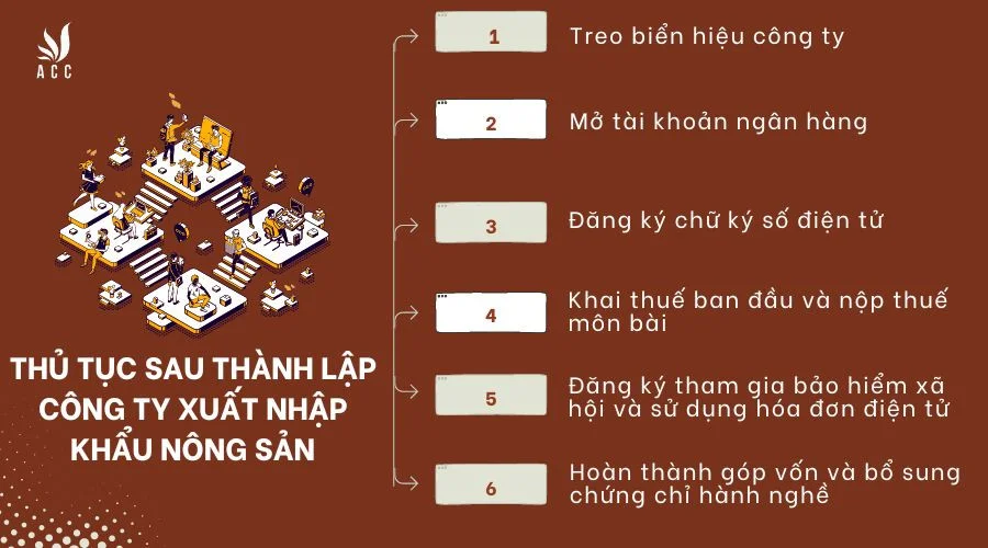 thu-tuc-sau-thanh-lap-cong-ty-xuat-nhap-khau-nong-san