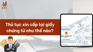 thu-tuc-xin-cap-lai-giay-chung-tu-nhu-the-nao