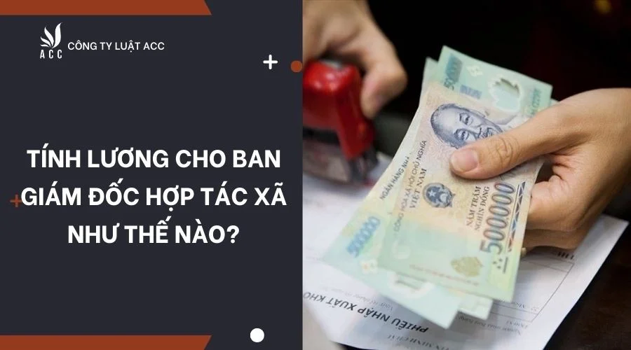 Tính lương cho ban Giám đốc Hợp tác xã như thế nào?