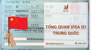 tong-quan-visa-q1-trung-quoc