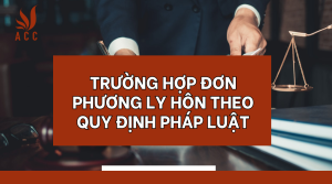 truong-hop-don-phuong-ly-hon-theo-quy-dinh-phap-luat-1