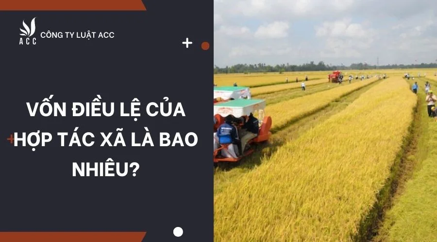 Vốn điều lệ của hợp tác xã là bao nhiêu?