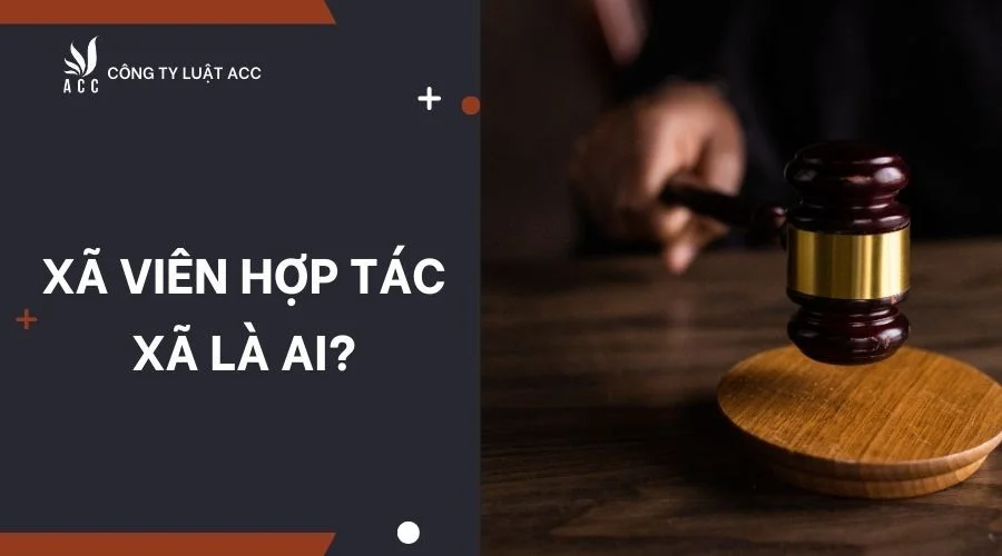 Xã viên hợp tác xã là ai gì?