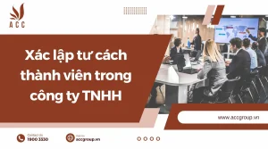 xac-lap-tu-cach-thanh-vien-trong-cong-ty-tnhh