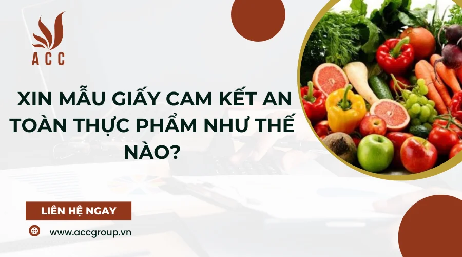 xin-mau-giay-cam-ket-an-toan-thuc-pham-nhu-the-nao