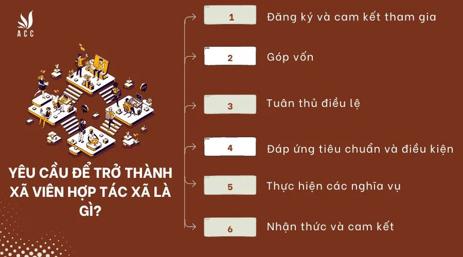 Yêu cầu để trở thành xã viên hợp tác xã là gì?