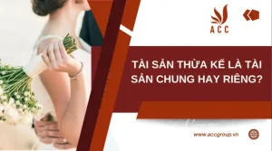 anh-man-hinh-2024-09-23-luc-150346