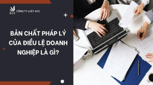 ban-chat-phap-ly-cua-dieu-le-doanh-nghiep-la-gi