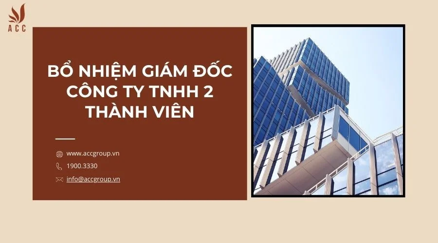 Bổ nhiệm giám đốc công ty TNHH 2 thành viên