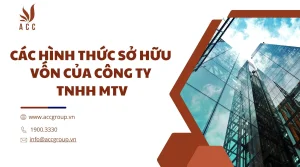 cac-hinh-thuc-so-huu-von-cua-cong-ty-tnhh-mtv