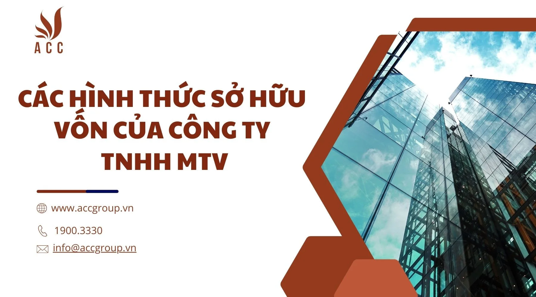 Các hình thức sở hữu vốn của công ty TNHH MTV