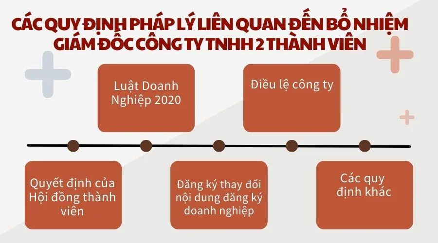 Các quy định pháp lý liên quan đến bổ nhiệm giám đốc công ty TNHH 2 thành viên