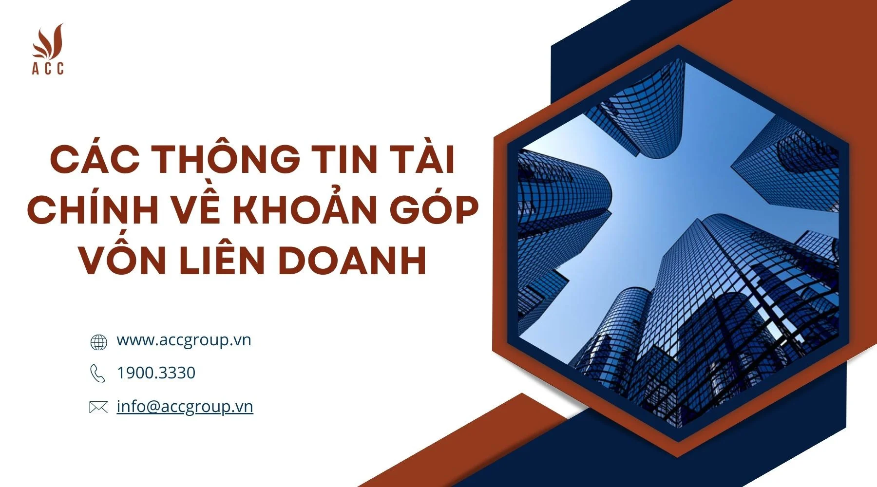 Các thông tin tài chính về khoản góp vốn liên doanh