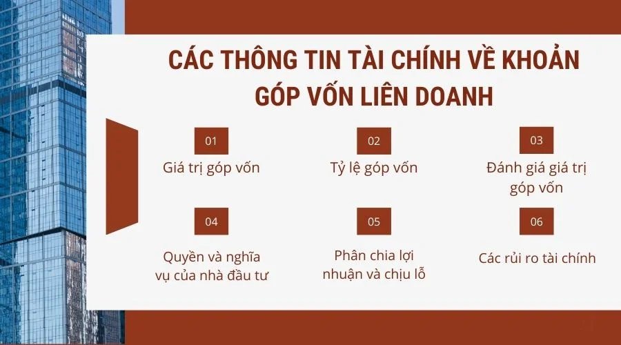 Các thông tin tài chính về khoản góp vốn liên doanh