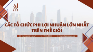 cac-to-chuc-phi-loi-nhuan-lon-nhat-tren-the-gioi