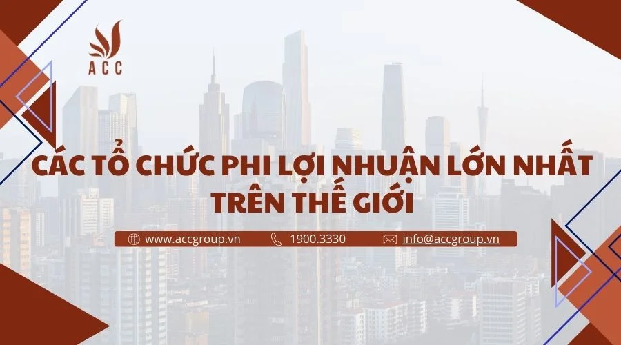 Các tổ chức phi lợi nhuận lớn nhất trên thế giới