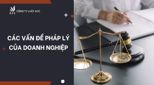 cac-van-de-phap-ly-cua-doanh-nghiep