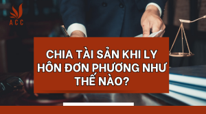 chia-tai-san-khi-ly-hon-don-phuong-nhu-the-nao