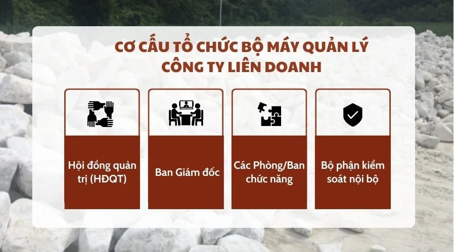 Cơ cấu tổ chức bộ máy quản lý công ty liên doanh