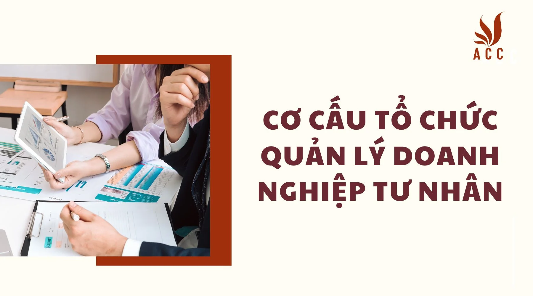 Cơ cấu tổ chức quản lý doanh nghiệp tư nhân