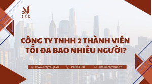 cong-ty-tnhh-2-thanh-vien-toi-da-bao-nhieu-nguoi