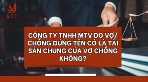 cong-ty-tnhh-mtv-do-vo-chong-dung-ten-co-la-tai-san-chung-cua-vo-chong-khong