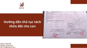 copy-of-huong-dan-thu-tuc-tach-thua-dat-cho-con-2