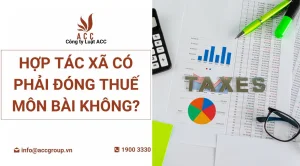 hop-tac-xa-co-phai-dong-thue-mon-bai-khong