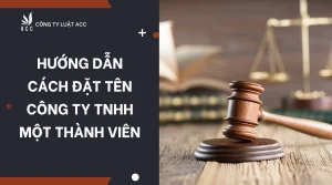 huong-dan-cach-dat-ten-cong-ty-tnhh-mot-thanh-vien