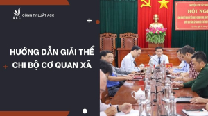 huong-dan-giai-the-chi-bo-co-quan-xa-1