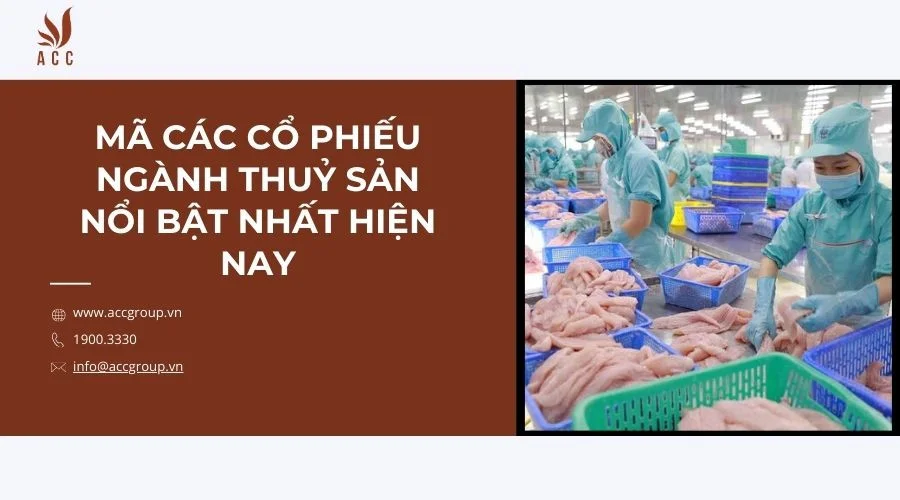 Mã các cổ phiếu ngành thuỷ sản nổi bật nhất hiện nay