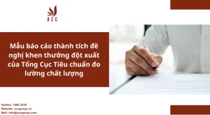 mau-bao-cao-thanh-tich-de-nghi-khen-thuong-dot-xuat-cua-tong-cuc-tieu-chuan-do-luong-chat-luong