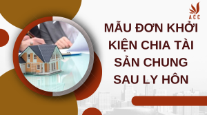 mau-don-khoi-kien-chia-tai-san-chung-sau-ly-hon