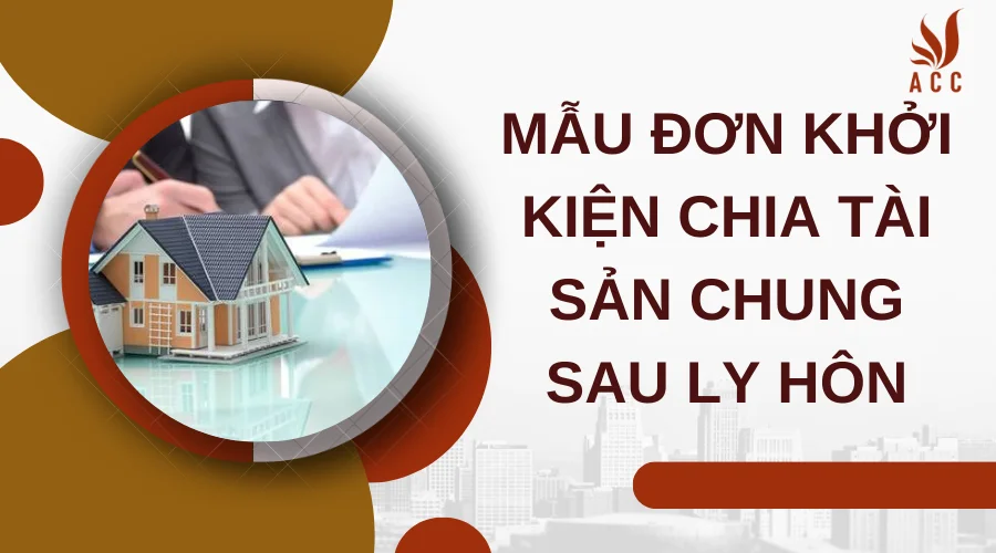 Mẫu đơn khởi kiện chia tài sản chung sau ly hôn