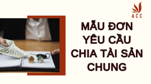 mau-don-yeu-cau-chia-tai-san-chung